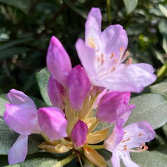 23-06-03 16-43-59 5793